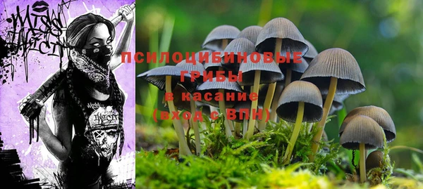 бошки Михайлов